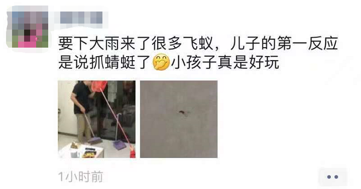 进入高发期！令东莞人崩溃！