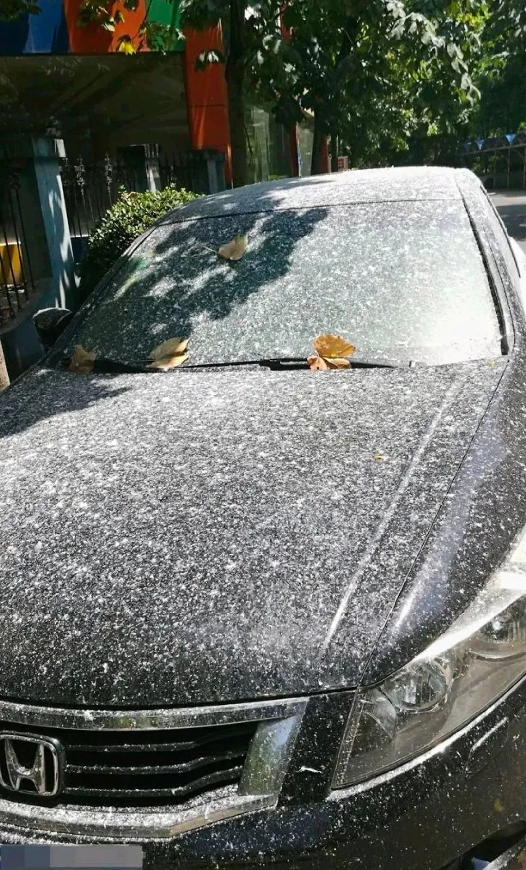 紧急提醒！东莞要“下雪”了！出门注意了！