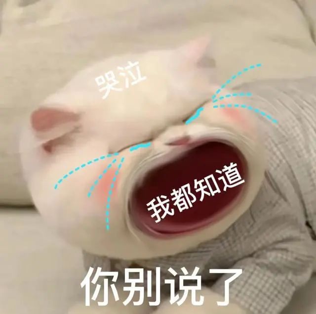 明天起，东莞人请提前2小时出门！
