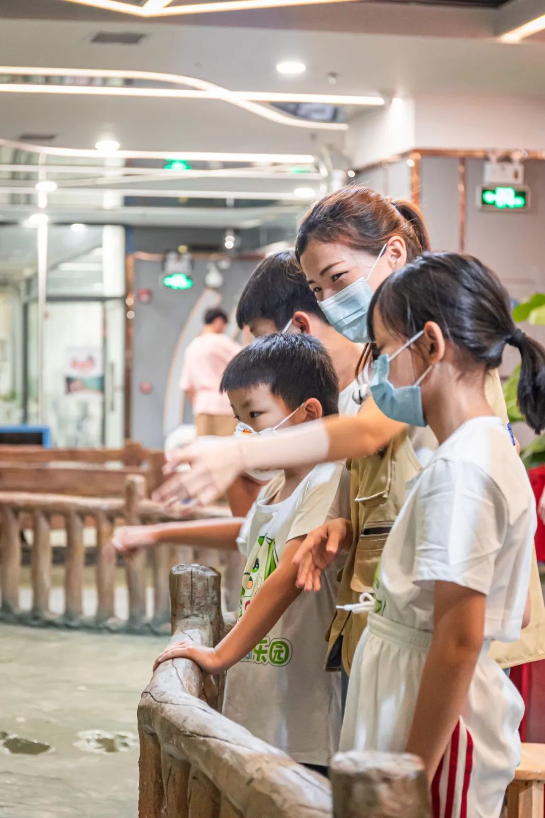 门票39.9/人！东莞有「室内动物园」了！3000㎡、800+种动物、0距离互动，爽！