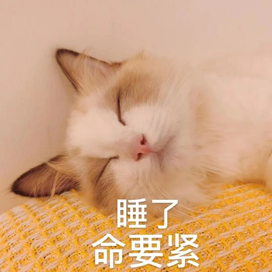 红色暴雨！大风8~10级！东莞人早点回家！