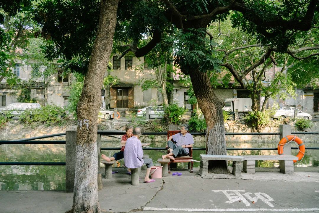 莞城要变成那个“我不认识”的样子了…