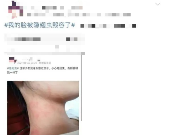 东莞随处可见！“我的脸被它毁容了！”千万不要打！