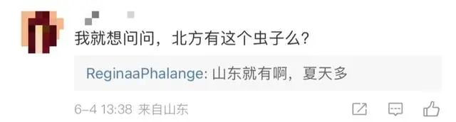东莞随处可见！“我的脸被它毁容了！”千万不要打！