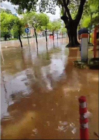 突发暴雨！东莞多镇街被淹！更可怕的还在……快提醒家人！