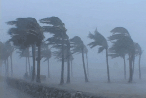 “广东威尼斯”！东莞突发大暴雨！多镇街被淹！还有人被洪水冲倒！