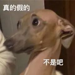 家长直呼坐不住！东莞超一半民办学校都在涨学费？