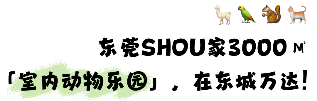 门票39.9/人！东莞有「室内动物园」了！3000㎡、800+种动物、0距离互动，爽！