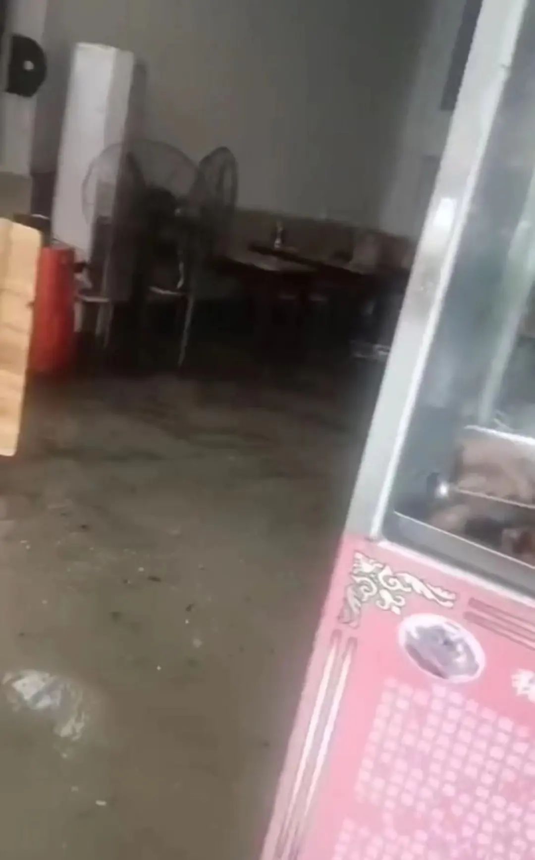 “广东威尼斯”！东莞突发大暴雨！多镇街被淹！还有人被洪水冲倒！