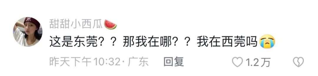 东莞这个站牌火出圈！"这么高级不要命啦！"