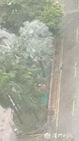 狂风暴雨!“杜苏芮”登陆！东莞有暴雨！又一台风生成→
