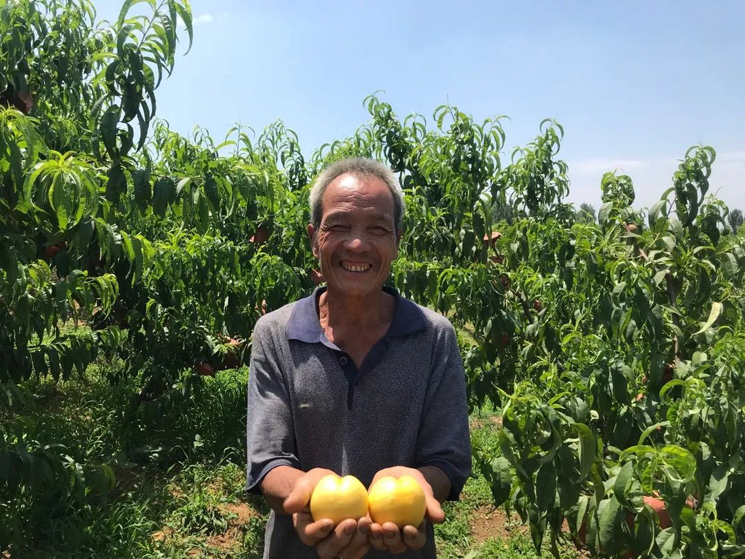 东莞人的今夏新宠！再也不怕高温了！