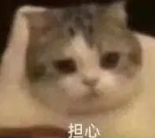狂风暴雨!“杜苏芮”登陆！东莞有暴雨！又一台风生成→