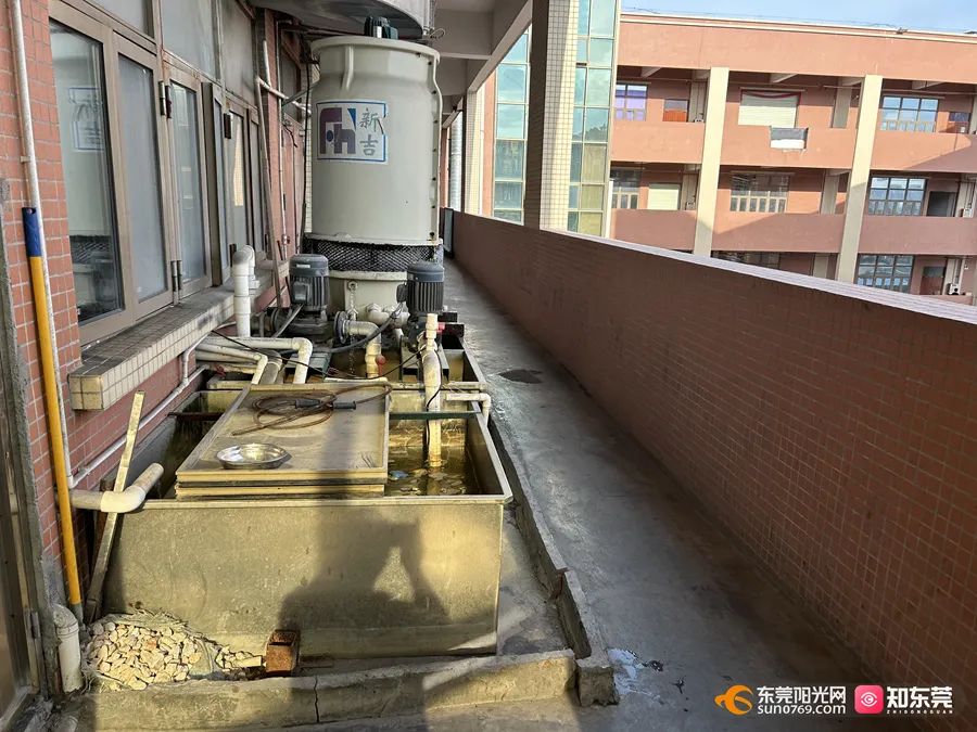 最高罚款23000元！东莞又曝光一批