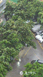 狂风暴雨!“杜苏芮”登陆！东莞有暴雨！又一台风生成→