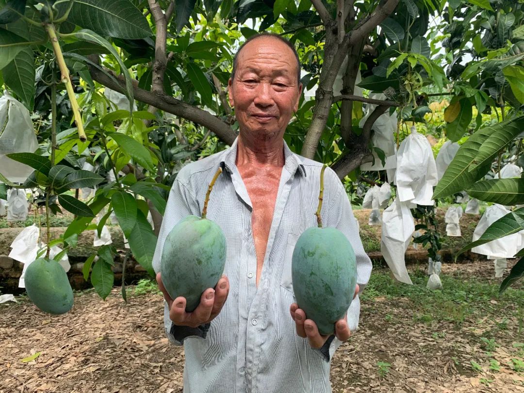 高温来袭！幸好....