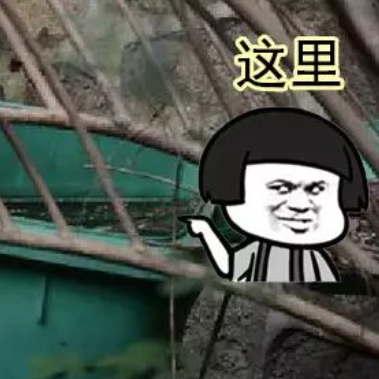 多国大暴发！病例翻3倍！东莞疾控紧急提醒！