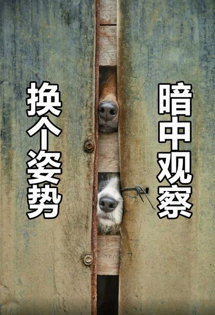 记3分罚200元！东莞一波司机因这事被曝光！