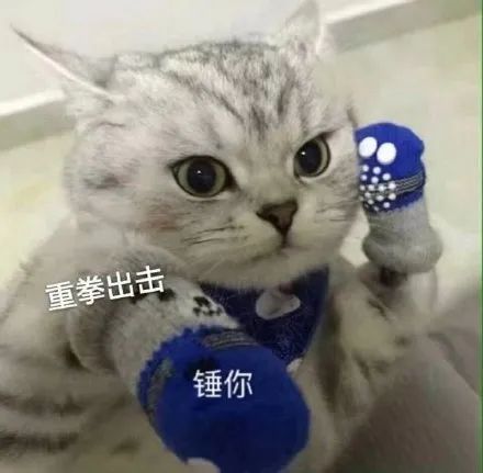 6891㎡！拆！东莞多镇街在行动！"
