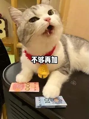 紧急扩散！多名受害者曝光！东莞单身男性千万当心！