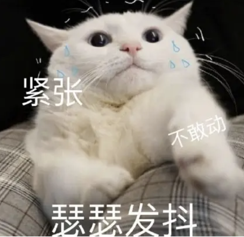 太吓人了！东莞小孩闹市被车碾压！