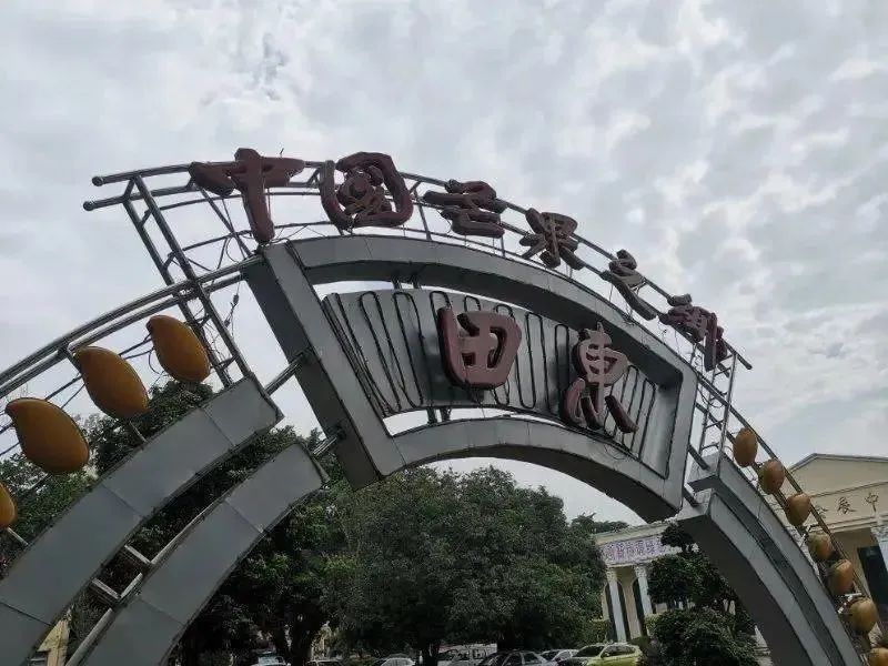 芒果中的爱马仕！竟然是绿色的？这不是没熟吗？