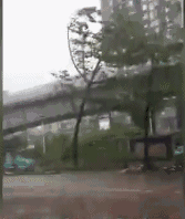 紧急! 东莞发布双预警!  今晚下班早点回家!