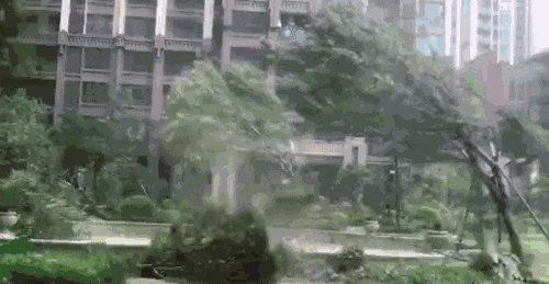 直降11°C！“超巨无霸”台风来袭！面积有10个广东！东莞将……