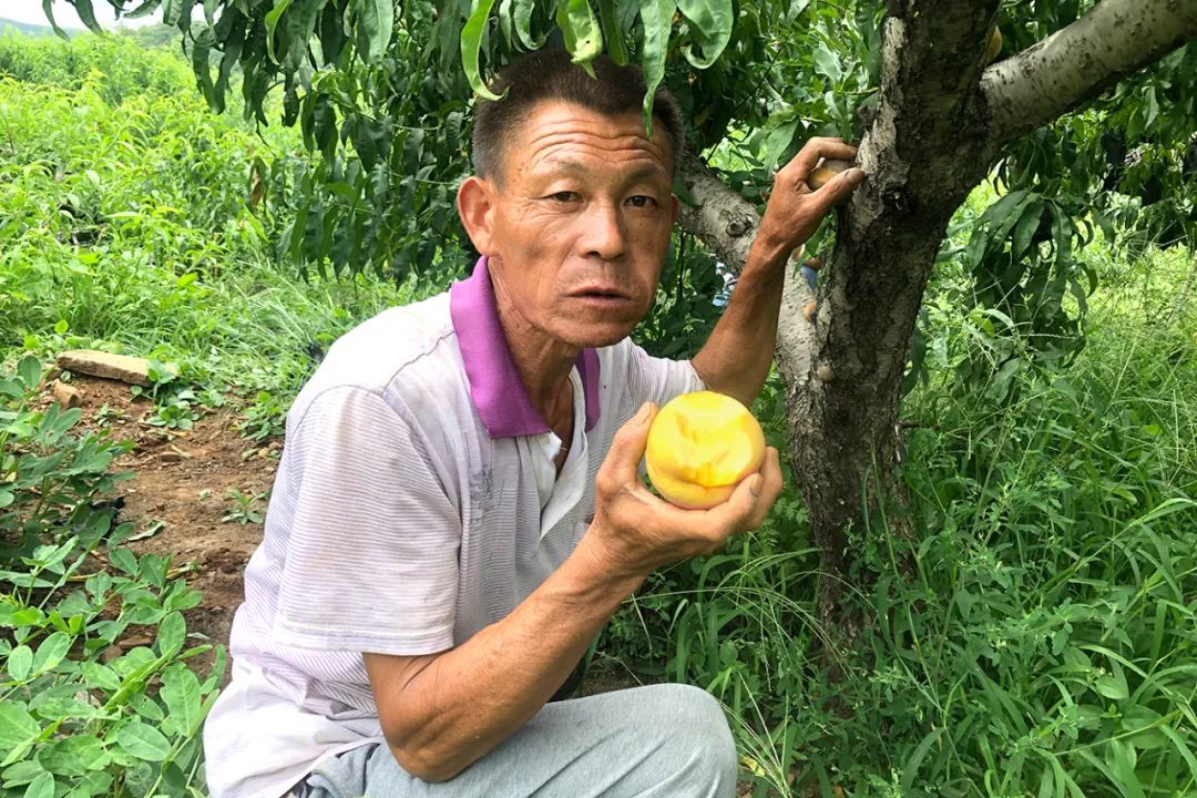东莞人的今夏新宠！再也不怕高温了！