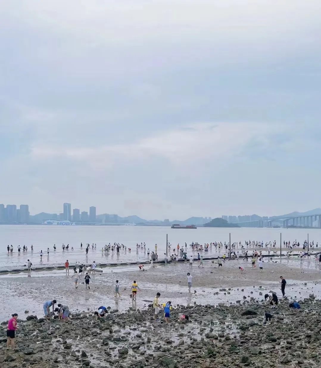 提醒！位于东莞的这个“网红海滩”被围起来，不能进入！