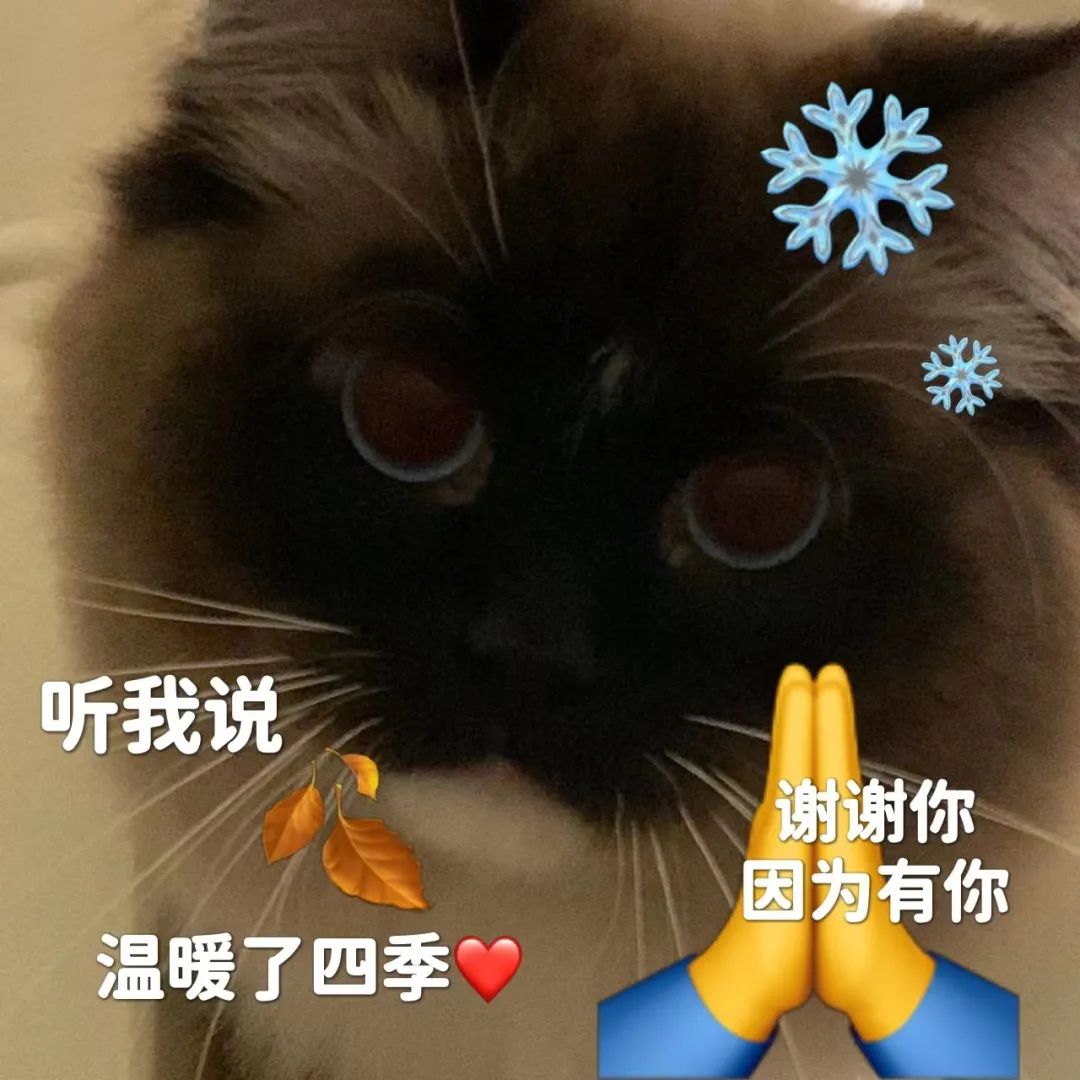 三伏天结束！暴雨+高温！东莞未来一周天气让人崩溃！
