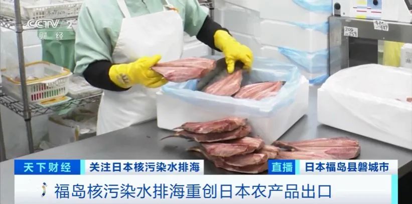 日本3天内5次地震！这些商品价格暴跌！退货！东莞各大日料店紧急声明！