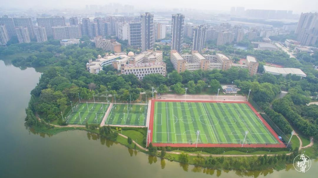 最新消息！东莞这些地方，免费！