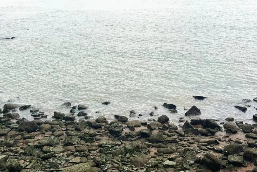提醒！位于东莞的这个“网红海滩”被围起来，不能进入！