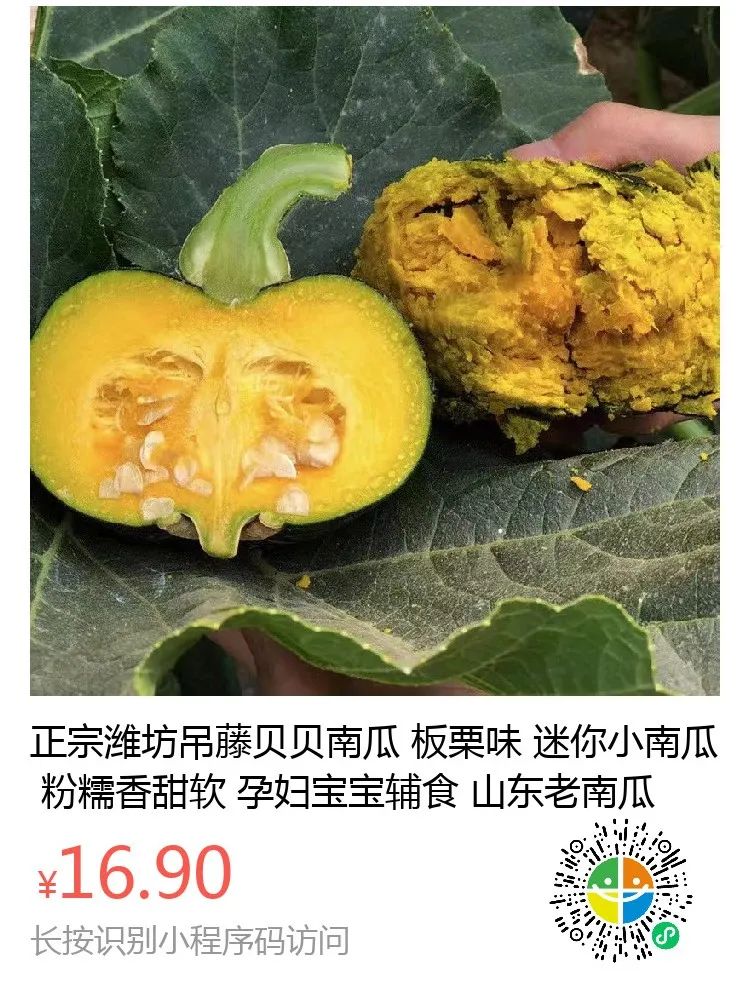 跨越千里的【山东贝贝板栗南瓜】，粉干甜香，营养软糯，连续十天吃不腻的大自然纯真味道。