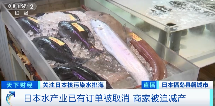 日本3天内5次地震！这些商品价格暴跌！退货！东莞各大日料店紧急声明！