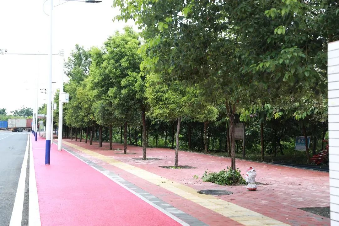 定了！东莞这座大桥10月1日通车！