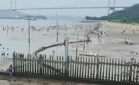 提醒！位于东莞的这个“网红海滩”被围起来，不能进入！