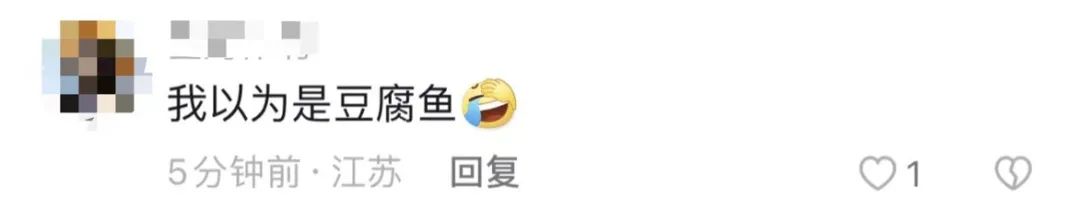 东莞两女子江边“放生”鱼豆腐火上热搜!有关部门回应了!