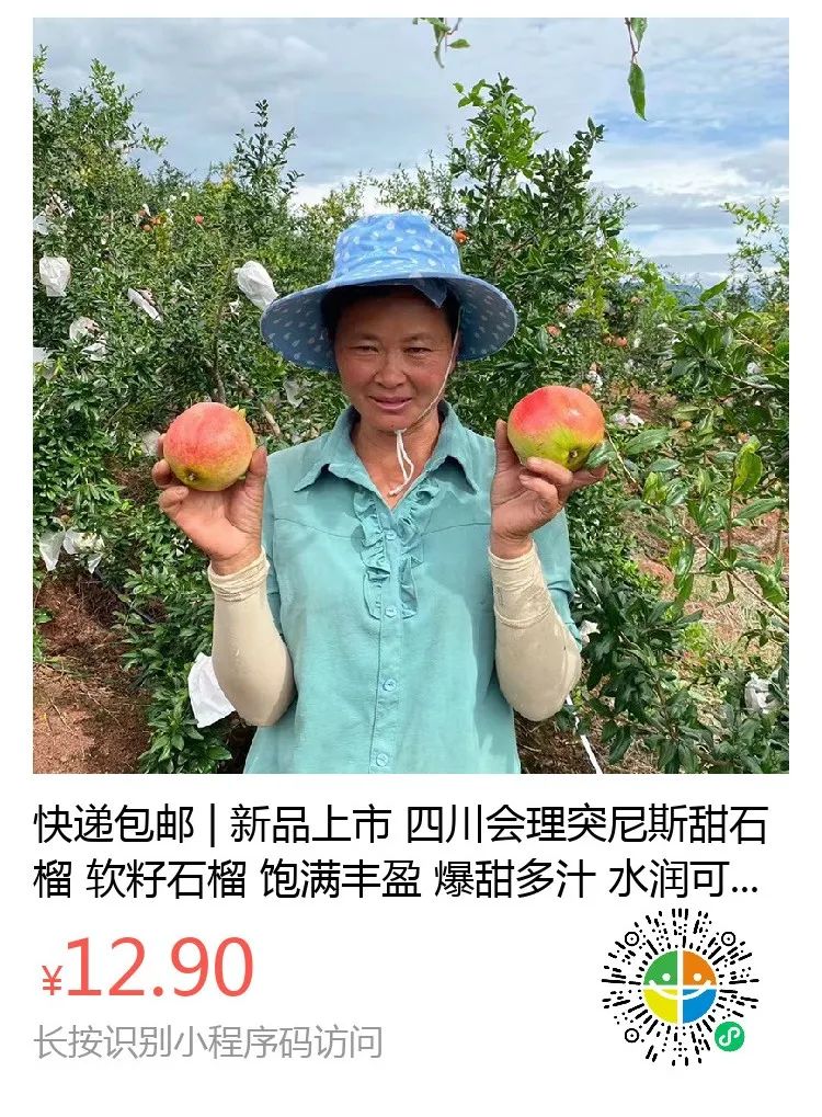 又降价！中秋礼盒上线！果农2000米高海拔辛勤种植『突尼斯软籽石榴』12.9/箱！鲜甜多汁，营养丰富，邀您一起助力！
