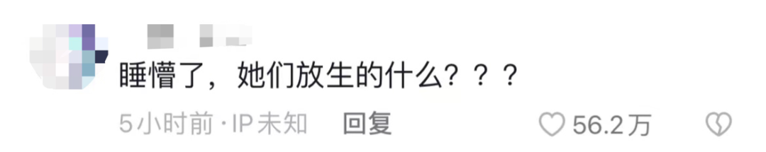 东莞两女子江边“放生”鱼豆腐火上热搜！有关部门回应了！