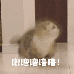 放假4天，不调休！