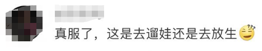 眼都大埋！东莞一男子带4个小孩爬山，竟走丢3个！