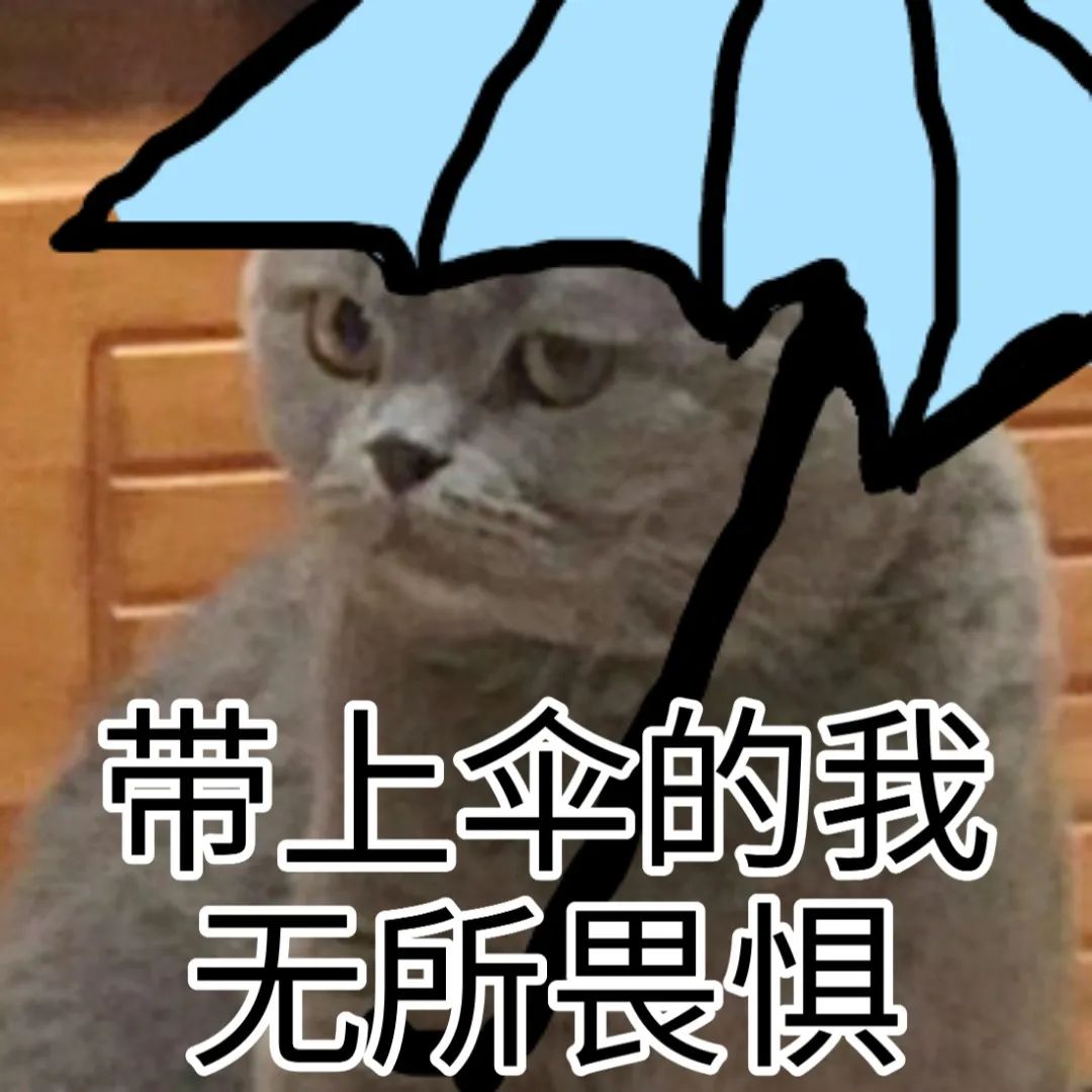 三伏天结束！暴雨+高温！东莞未来一周天气让人崩溃！