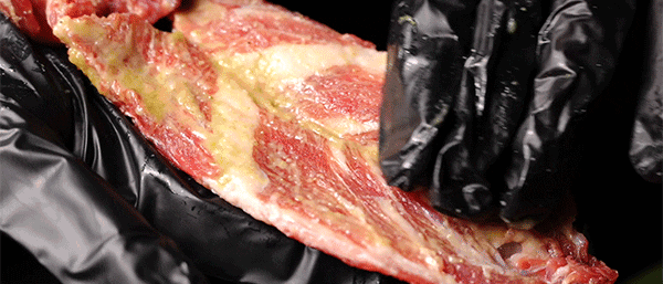 摊牌了！追了16年的「日式烧肉店」，到底有多绝？就这一次！