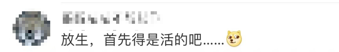 东莞两女子江边“放生”鱼豆腐火上热搜！有关部门回应了！