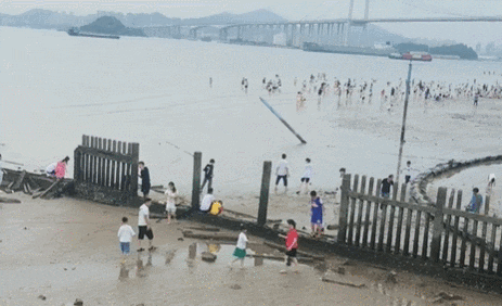 提醒！位于东莞的这个“网红海滩”被围起来，不能进入！