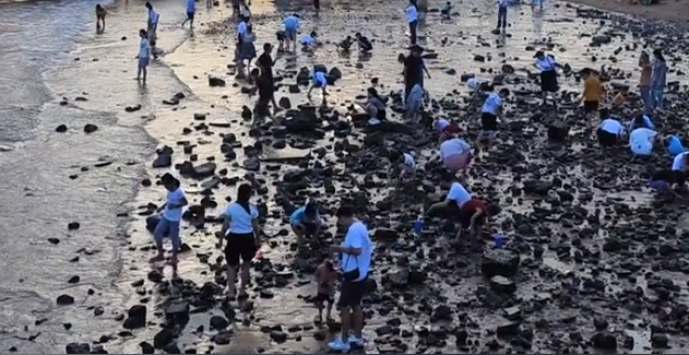 提醒！位于东莞的这个“网红海滩”被围起来，不能进入！