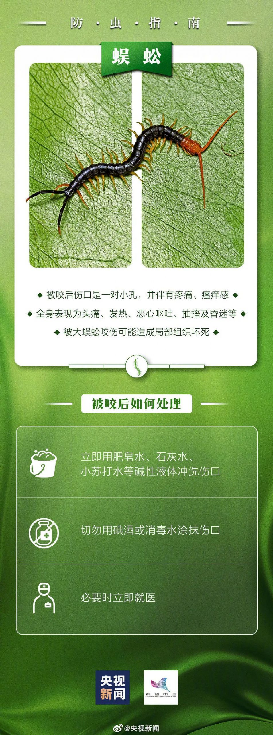 东莞一男子被咬后致休克！路边很常见，千万远离！