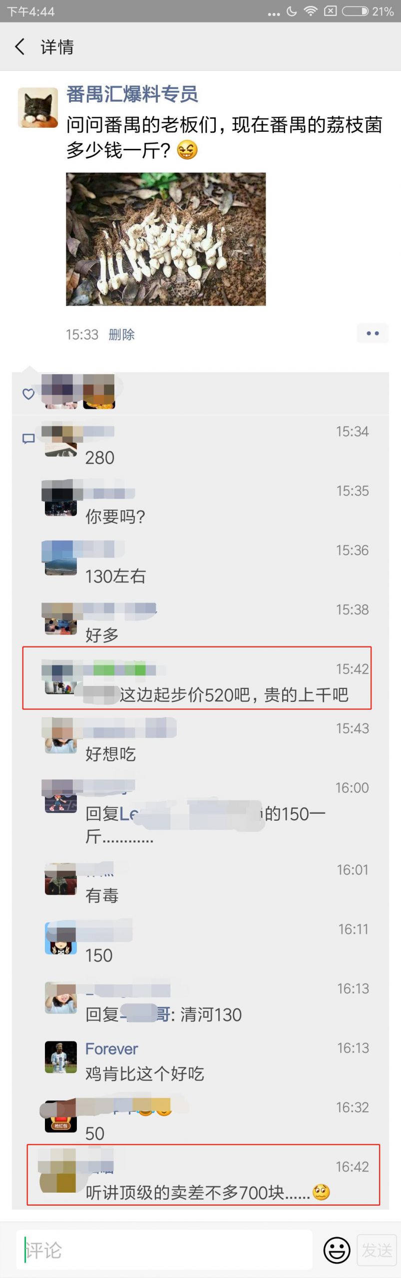 00蚊/斤！东莞这种遍地生长的菌子火了！全身都是宝……"